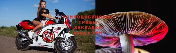 мяу мяу мука Абинск