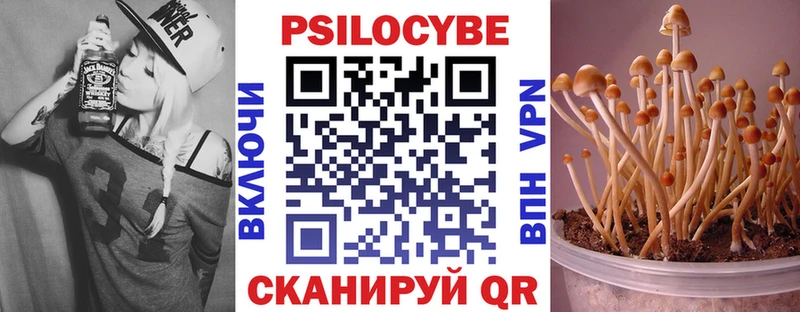 Псилоцибиновые грибы мицелий  OMG ссылки  Чердынь  где можно купить наркотик 
